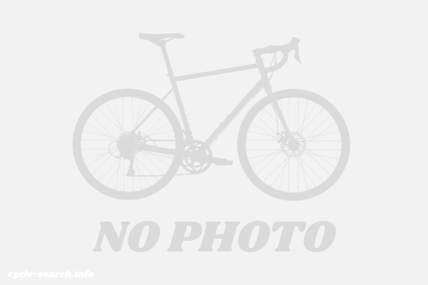 広島県安佐北区 ENERSYSCITY 電動自転車 の盗難自転車